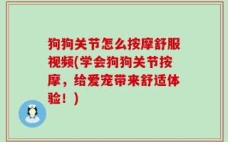 狗狗关节怎么按摩舒服视频(学会狗狗关节按摩，给爱宠带来舒适体验！)