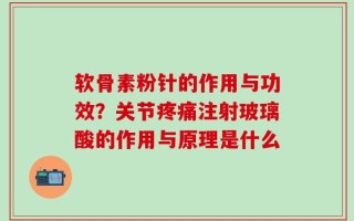 软骨素粉针的作用与功效？关节疼痛注射玻璃酸的作用与原理是什么