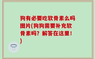 狗有必要吃软骨素么吗图片(狗狗需要补充软骨素吗？解答在这里！)