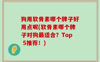 狗用软骨素哪个牌子好用点呢(软骨素哪个牌子对狗最适合？Top 5推荐！)