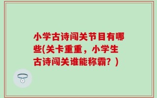 小学古诗闯关节目有哪些(关卡重重，小学生古诗闯关谁能称霸？)