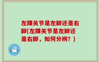 左踝关节是左脚还是右脚(左踝关节是左脚还是右脚，如何分辨？)