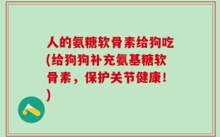 人的氨糖软骨素给狗吃(给狗狗补充氨基糖软骨素，保护关节健康！)