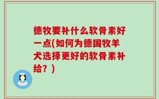 德牧要补什么软骨素好一点(如何为德国牧羊犬选择更好的软骨素补给？)