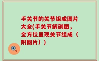 手关节的关节组成图片大全(手关节解剖图，全方位呈现关节组成（附图片）)