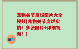宠物关节腐烂图片大全视频(宠物关节腐烂实拍！多张图片+详细视频！)