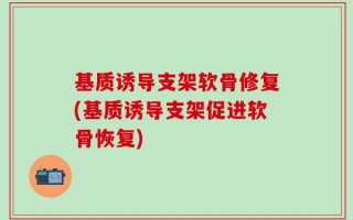 基质诱导支架软骨修复(基质诱导支架促进软骨恢复)