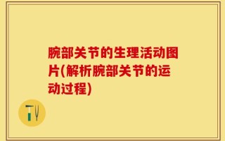 腕部关节的生理活动图片(解析腕部关节的运动过程)