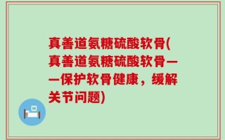 真善道氨糖硫酸软骨(真善道氨糖硫酸软骨——保护软骨健康，缓解关节问题)