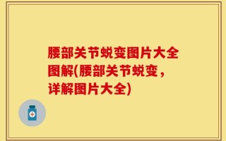 腰部关节蜕变图片大全图解(腰部关节蜕变，详解图片大全)