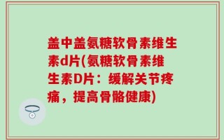 盖中盖氨糖软骨素维生素d片(氨糖软骨素维生素D片：缓解关节疼痛，提高骨骼健康)