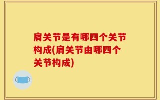 肩关节是有哪四个关节构成(肩关节由哪四个关节构成)