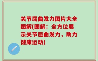 关节屈曲发力图片大全图解(图解：全方位展示关节屈曲发力，助力健康运动)