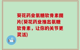 葵花药业氨糖软骨素图片(葵花药业推出氨糖软骨素，让你的关节更灵活)