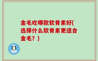 金毛吃哪款软骨素好(选择什么软骨素更适合金毛？)