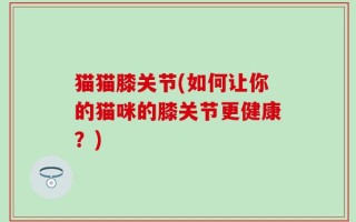 猫猫膝关节(如何让你的猫咪的膝关节更健康？)