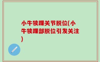 小牛犊踝关节脱位(小牛犊踝部脱位引发关注)