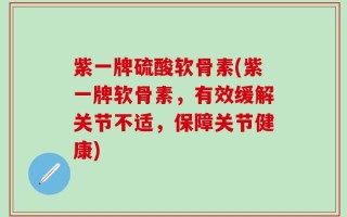 紫一牌硫酸软骨素(紫一牌软骨素，有效缓解关节不适，保障关节健康)
