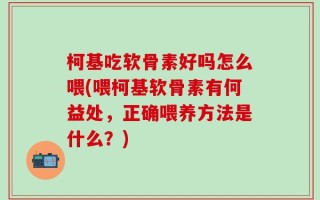 柯基吃软骨素好吗怎么喂(喂柯基软骨素有何益处，正确喂养方法是什么？)