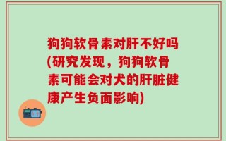 狗狗软骨素对肝不好吗(研究发现，狗狗软骨素可能会对犬的肝脏健康产生负面影响)