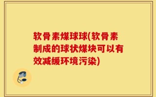软骨素煤球球(软骨素制成的球状煤块可以有效减缓环境污染)