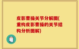 皮影曹操关节分解图(重构皮影曹操的关节结构分析图解)