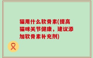 猫用什么软骨素(提高猫咪关节健康，建议添加软骨素补充剂)