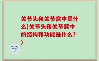 关节头和关节窝中是什么(关节头和关节窝中的结构和功能是什么？)