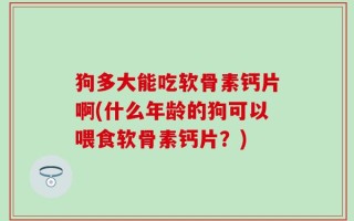 狗多大能吃软骨素钙片啊(什么年龄的狗可以喂食软骨素钙片？)