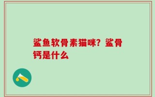 鲨鱼软骨素猫咪？鲨骨钙是什么