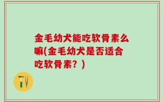 金毛幼犬能吃软骨素么嘛(金毛幼犬是否适合吃软骨素？)