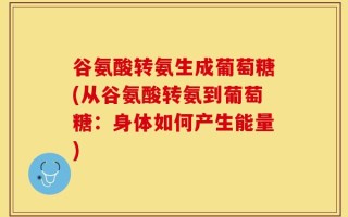 谷氨酸转氨生成葡萄糖(从谷氨酸转氨到葡萄糖：身体如何产生能量)