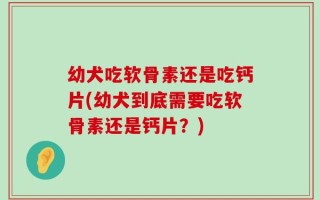 幼犬吃软骨素还是吃钙片(幼犬到底需要吃软骨素还是钙片？)