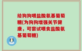 给狗狗喂盐酸氨基葡萄糖(为狗狗增强关节健康，可尝试喂食盐酸氨基葡萄糖)