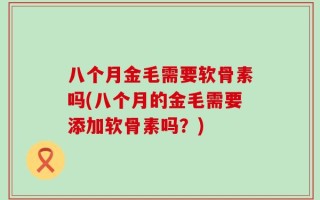 八个月金毛需要软骨素吗(八个月的金毛需要添加软骨素吗？)