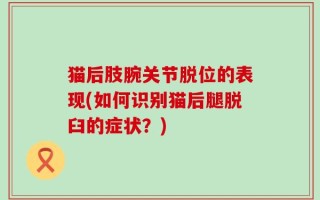 猫后肢腕关节脱位的表现(如何识别猫后腿脱臼的症状？)