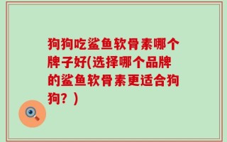 狗狗吃鲨鱼软骨素哪个牌子好(选择哪个品牌的鲨鱼软骨素更适合狗狗？)