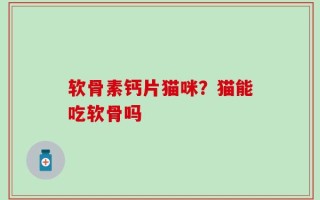 软骨素钙片猫咪？猫能吃软骨吗