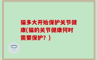 猫多大开始保护关节健康(猫的关节健康何时需要保护？)