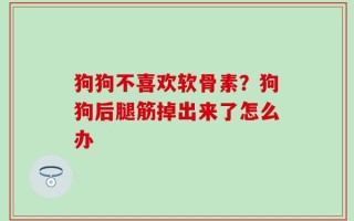 狗狗不喜欢软骨素？狗狗后腿筋掉出来了怎么办
