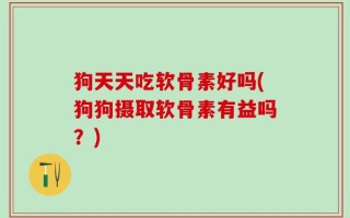 狗天天吃软骨素好吗(狗狗摄取软骨素有益吗？)
