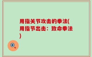 用指关节攻击的拳法(用指节出击：致命拳法)