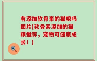 有添加软骨素的猫粮吗图片(软骨素添加的猫粮推荐，宠物可健康成长！)