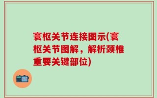 寰枢关节连接图示(寰枢关节图解，解析颈椎重要关键部位)