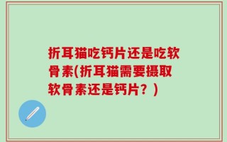 折耳猫吃钙片还是吃软骨素(折耳猫需要摄取软骨素还是钙片？)