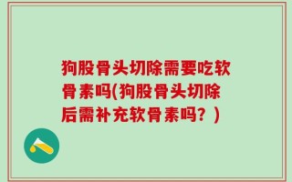 狗股骨头切除需要吃软骨素吗(狗股骨头切除后需补充软骨素吗？)