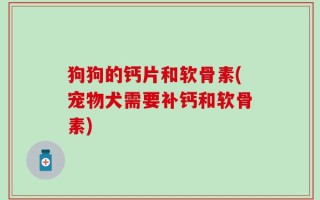 狗狗的钙片和软骨素(宠物犬需要补钙和软骨素)