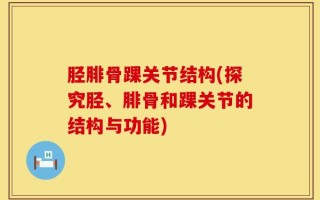 胫腓骨踝关节结构(探究胫、腓骨和踝关节的结构与功能)