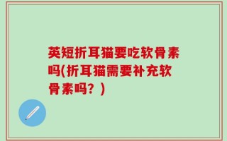 英短折耳猫要吃软骨素吗(折耳猫需要补充软骨素吗？)