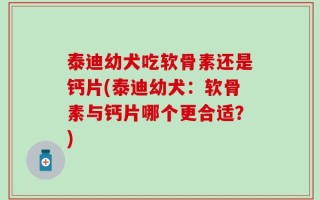 泰迪幼犬吃软骨素还是钙片(泰迪幼犬：软骨素与钙片哪个更合适？)